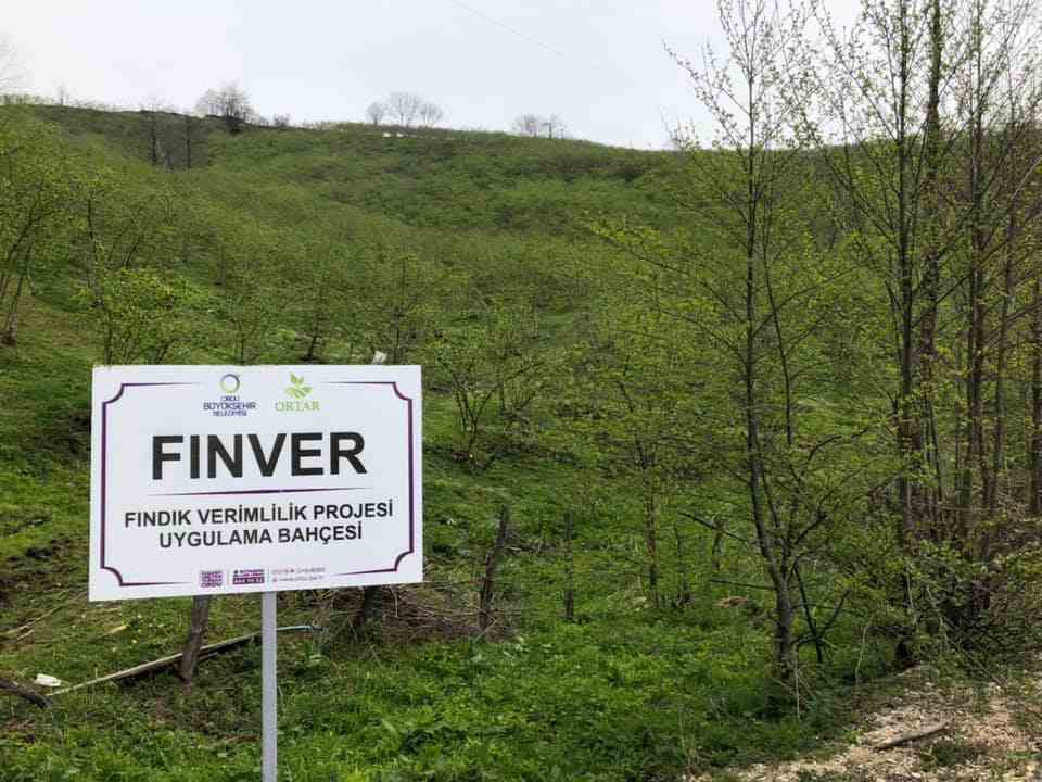 ÜRETİCİNİN YÜZÜ BÜYÜKŞEHİR İLE GÜLÜYOR